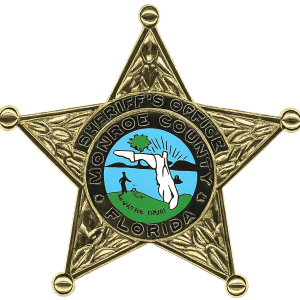 MCSO logo trans